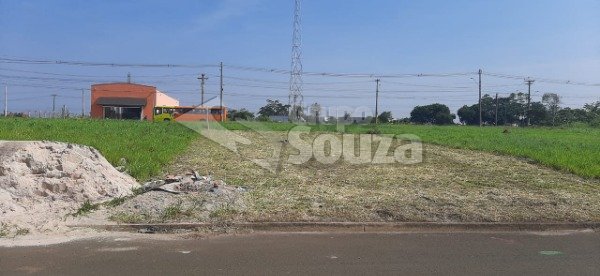 Terreno Alto da Boa Vista Piracicaba