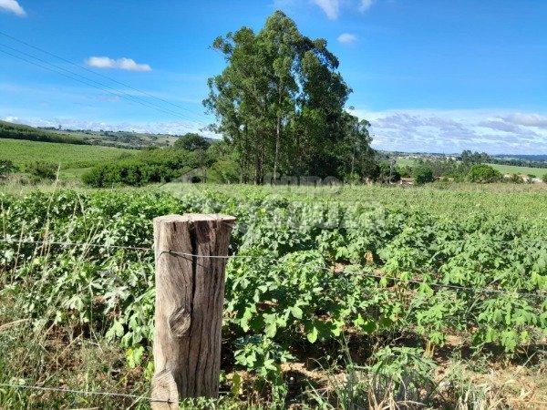 Chácara Pau Queimado