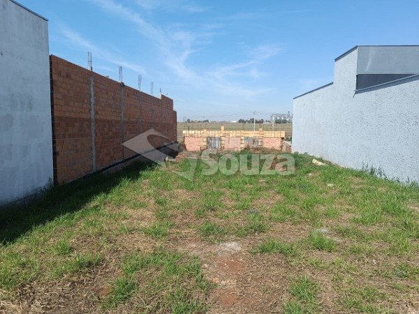 Terreno Terra di Treviso Piracicaba